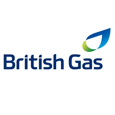 British Gas Dual Fuel logo